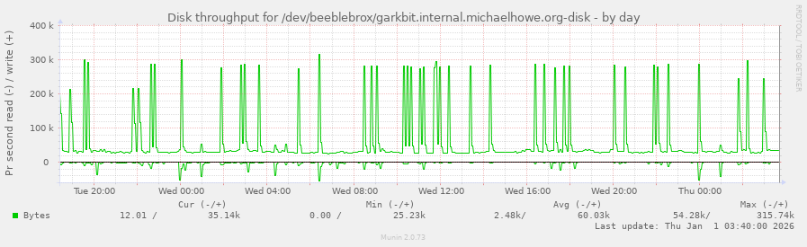 Disk throughput for /dev/beeblebrox/garkbit.internal.michaelhowe.org-disk