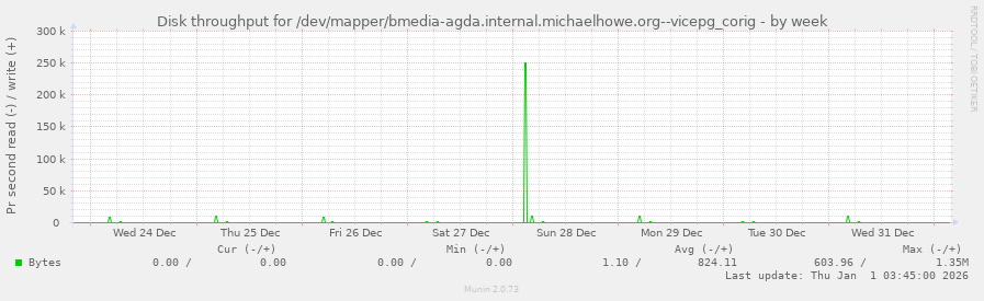 Disk throughput for /dev/mapper/bmedia-agda.internal.michaelhowe.org--vicepg_corig